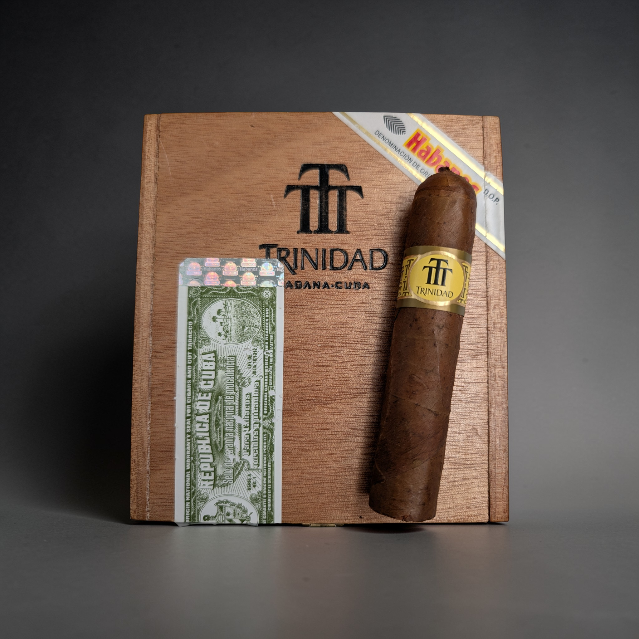 Trinidad Vigia