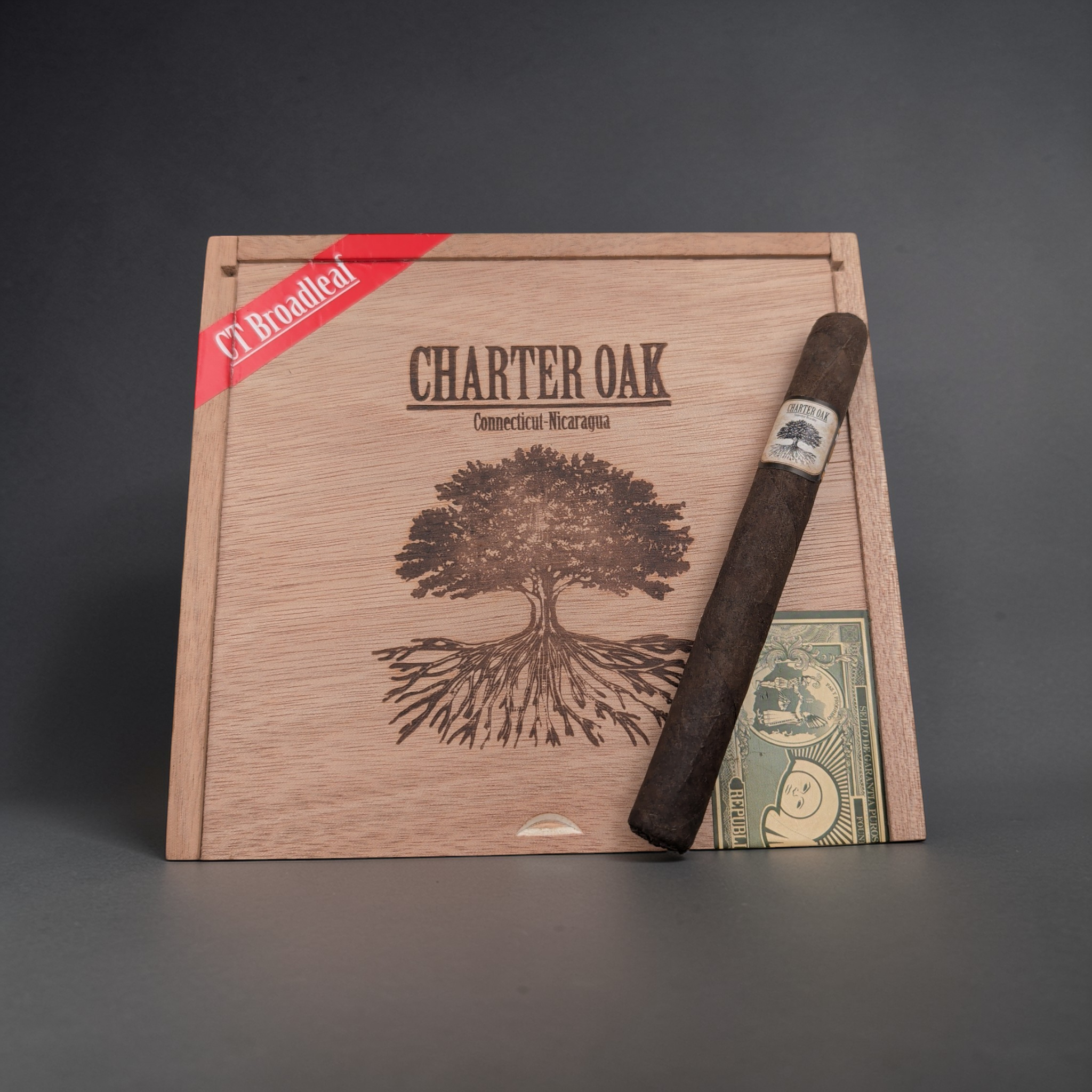 Foundation Charter Oak CT Shade Toro