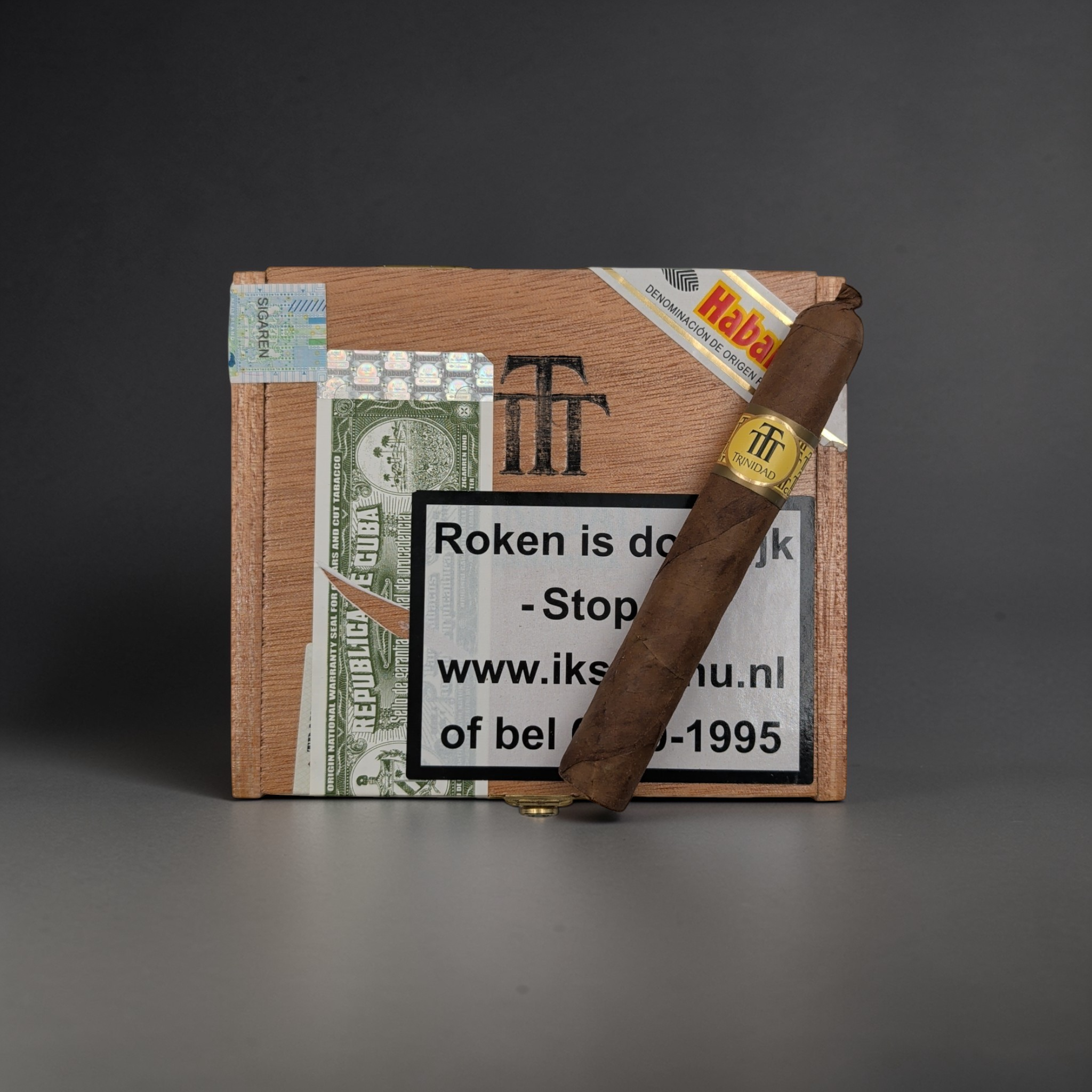 Trinidad Reyes