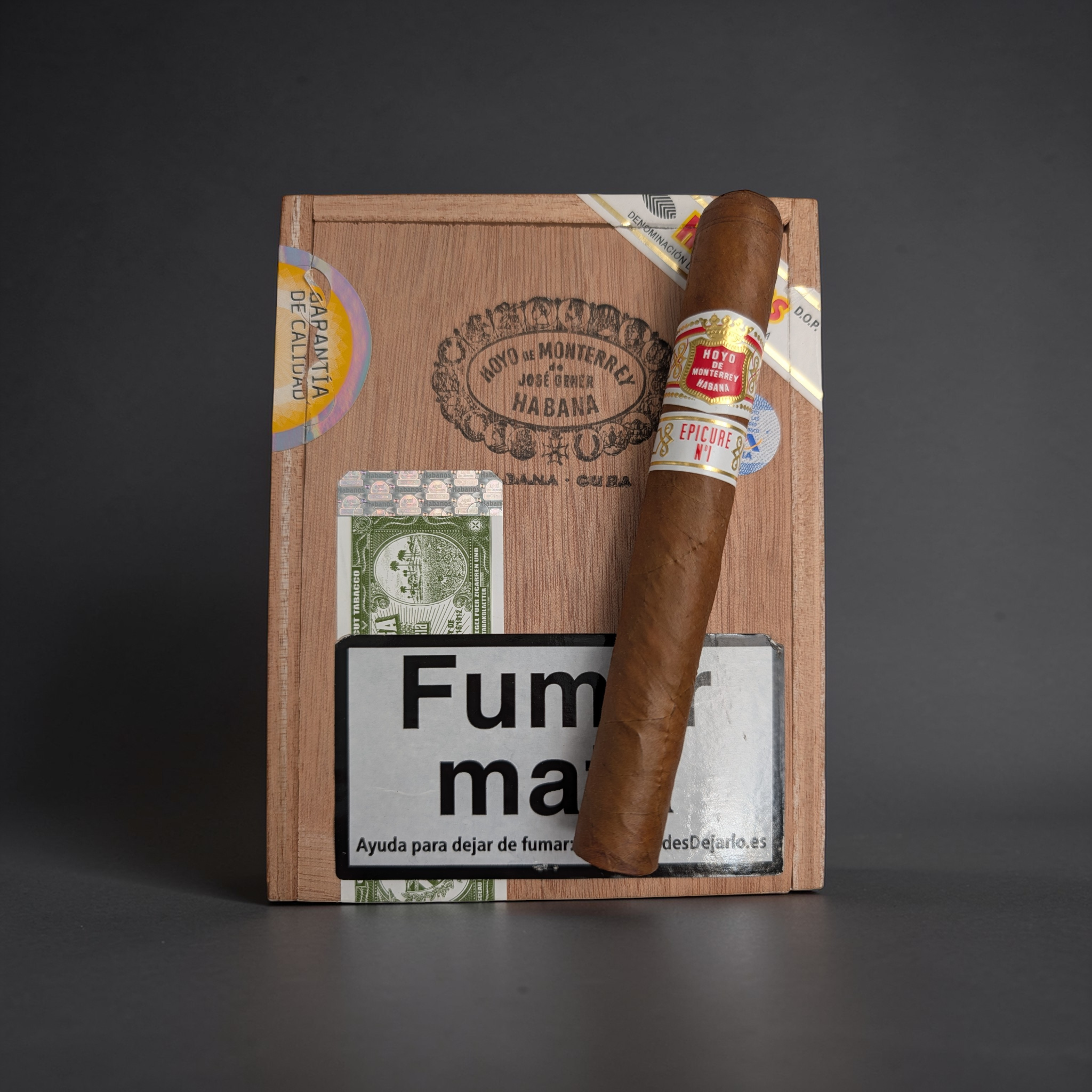 Hoyo Epicure No.1