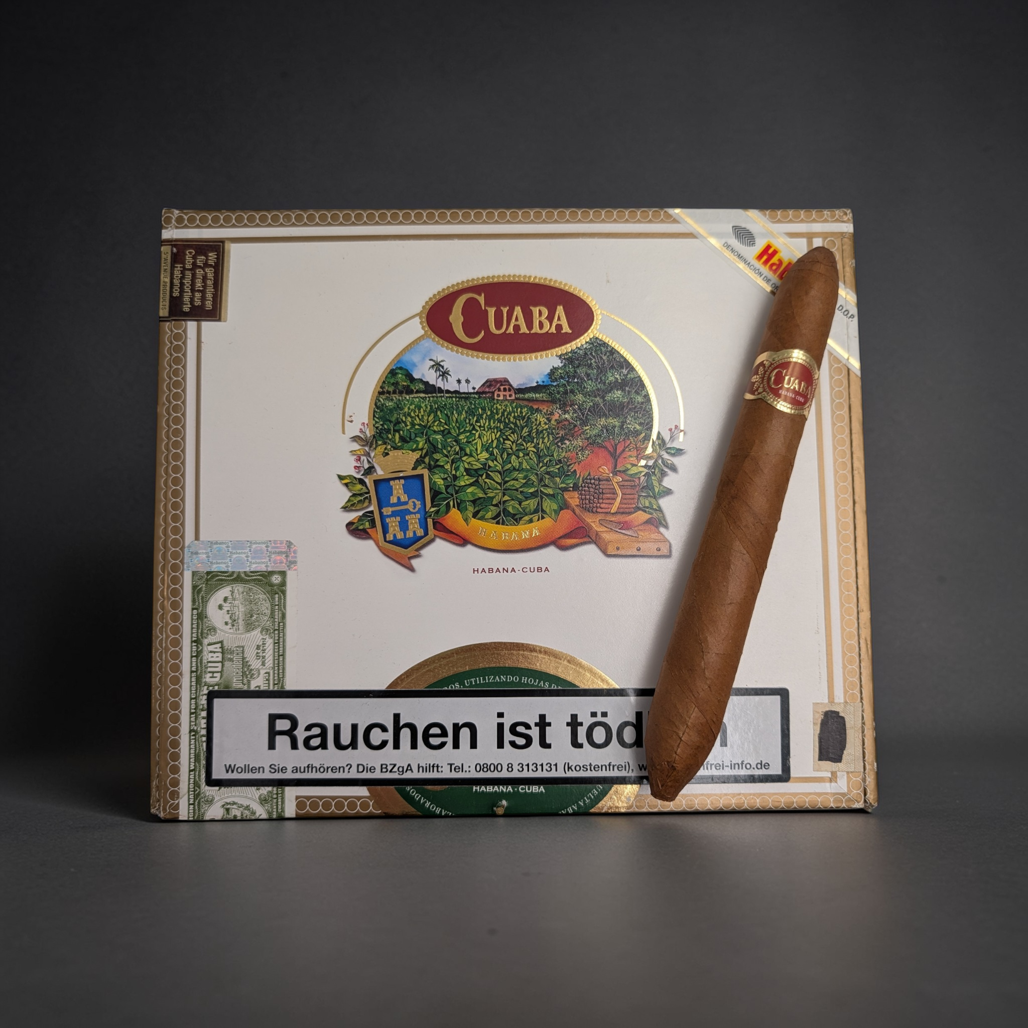 Cuaba Salomon